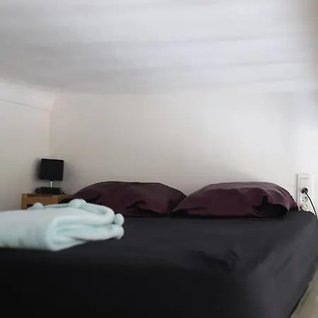 Cozy In Est * 니스