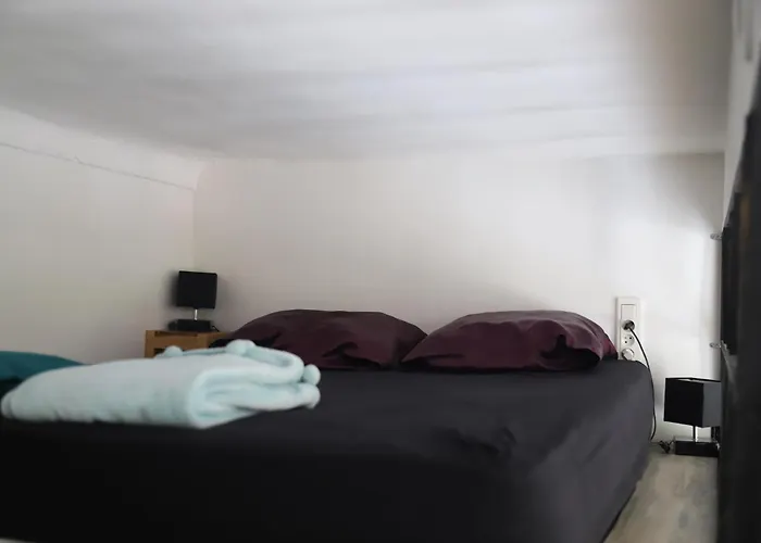 Cozy In Est * ניס